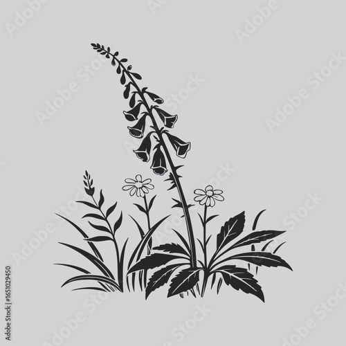 Foxglove Artistic Garden Flower Silhouette Drawing