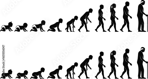Human life cycle silhouettes, stages from baby to elderly, growth and aging, childhood to adulthood, people evolution, generations, lifetime journey