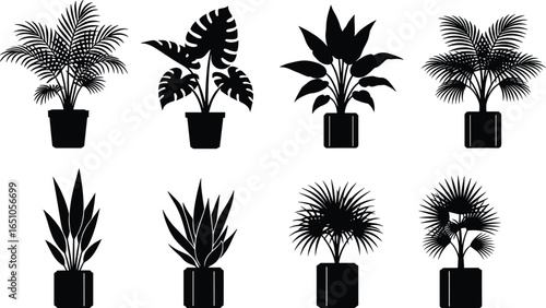 Potted plant silhouette set with various leaf shapes, black vector floral icons for interior design, decoration, garden, and nature projects