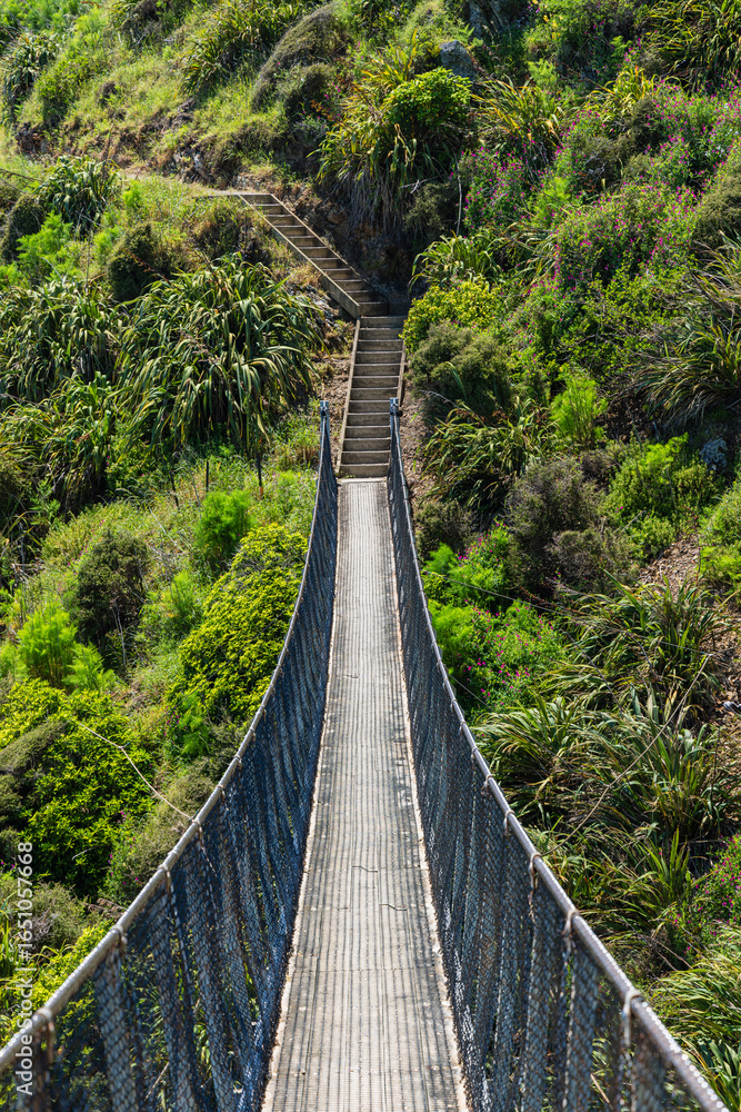 Obraz premium ニュージーランド パエカカリキ・エスカープメント・トラックに架かる吊り橋