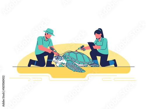 Sea Turtle Conservation: Dedicated conservationists meticulously assess and tag a majestic sea turtle, underscoring the importance of marine life protection.
