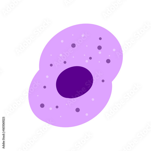 Macrophage Phagocytosing Illustration 