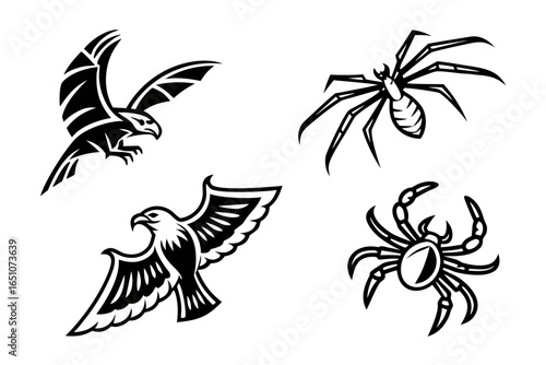 Set of eagle and spider graphic designs isolated on white background