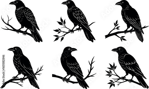Six Ravens Perched on Branches Black and White Vector Illustration