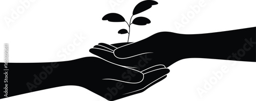Growing Together: Hands Holding a Seedling of Hope
