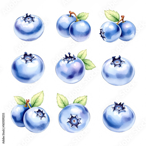 watercolor blueberry set