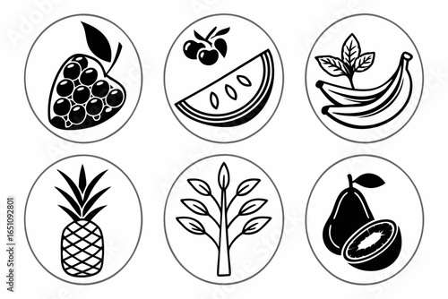 Set of six fruit icons isolated on white background