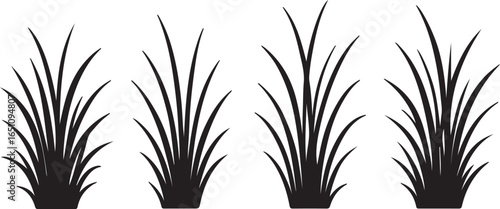 vector set of silhouttee grass on white background