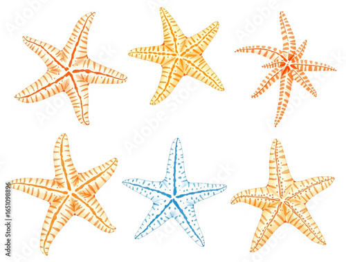 Sea star set watercolor
