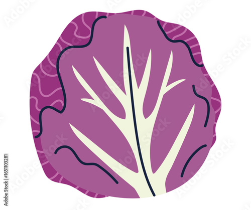 Illustration of a purple cabbage head with white veins and dark purple wavy edges, isolated on a white background.