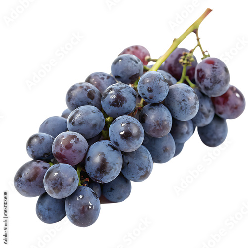 A fresh bunch of concord grapes isolated on a transparent background
