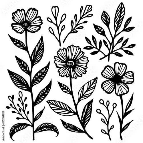 Elegant botanical elements collection featuring delicate flower illustrations and leaf designs enhancing creative projects and nature-inspired graphics