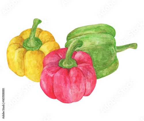 Watercolor painting of three bell peppers: yellow, red, and green.