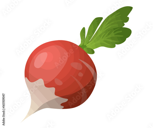 Vibrant illustration of a single red radish with green leaves, isolated on white background.