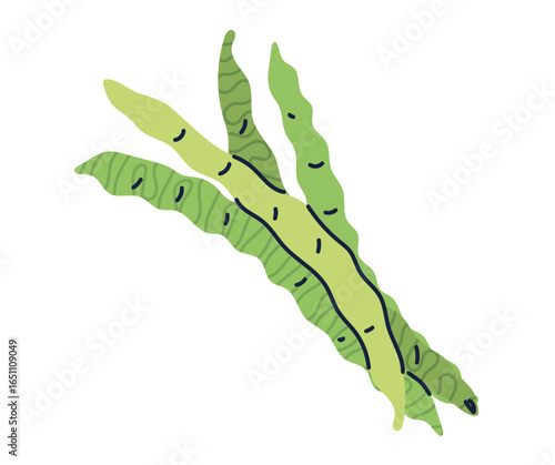 A vibrant illustration of three long, slender green seaweed stalks.