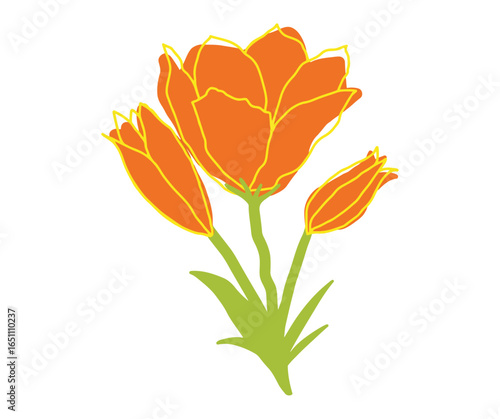 Illustration of three orange tulip flowers with green stems and leaves, outlined in yellow.