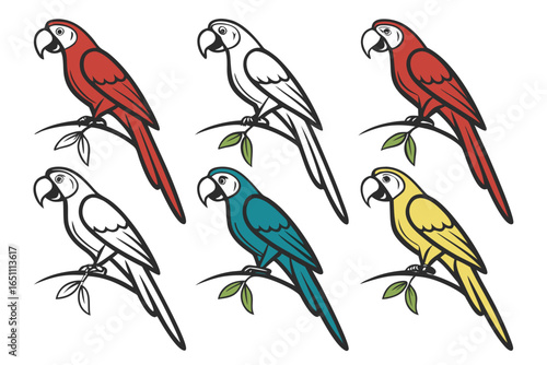 Set of colorful parrots and macaws perched on branches isolated on white background