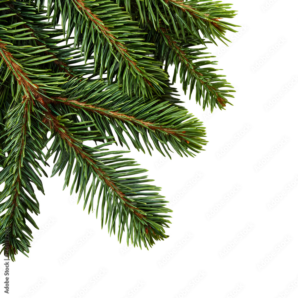 Naklejka premium Realistic Christmas Tree Branch with Pine Needles Illustration