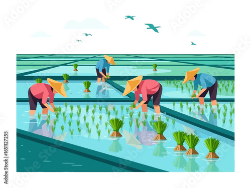 Harmony in the Field: Farmers diligently plant young rice plants in a flooded rice field, under a serene sky. Demonstrating the spirit of collaboration, resilience, and a dedication to harvest.