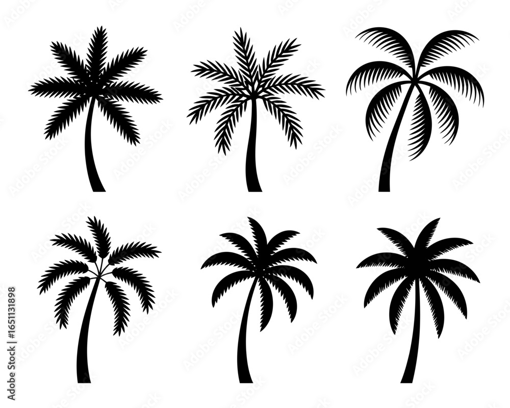 Obraz premium Collection of six black palm tree silhouettes isolated on white background