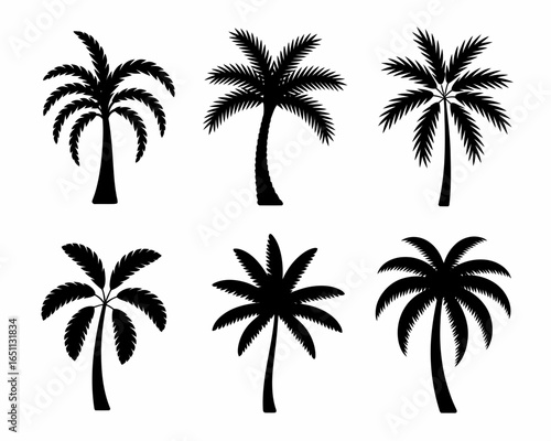 Collection of six distinct palm tree silhouettes isolated on white background