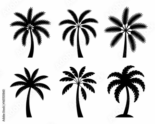 Collection of six distinct palm tree silhouettes isolated on white background