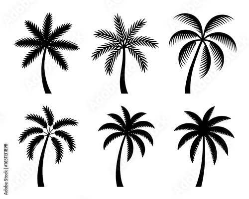Collection of six black palm tree silhouettes isolated on white background