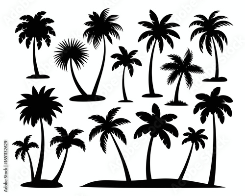 Collection of various palm tree silhouettes isolated on white background