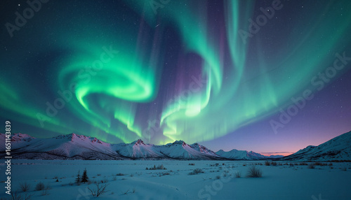 Wallpaper Mural Northern lights glowing over snow-covered mountains at night   Torontodigital.ca