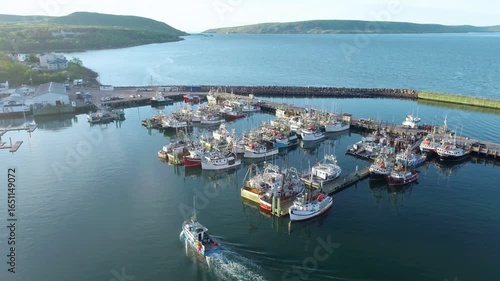 Aerial view of a harbor with boats in newfoundland, canada on a sunny day