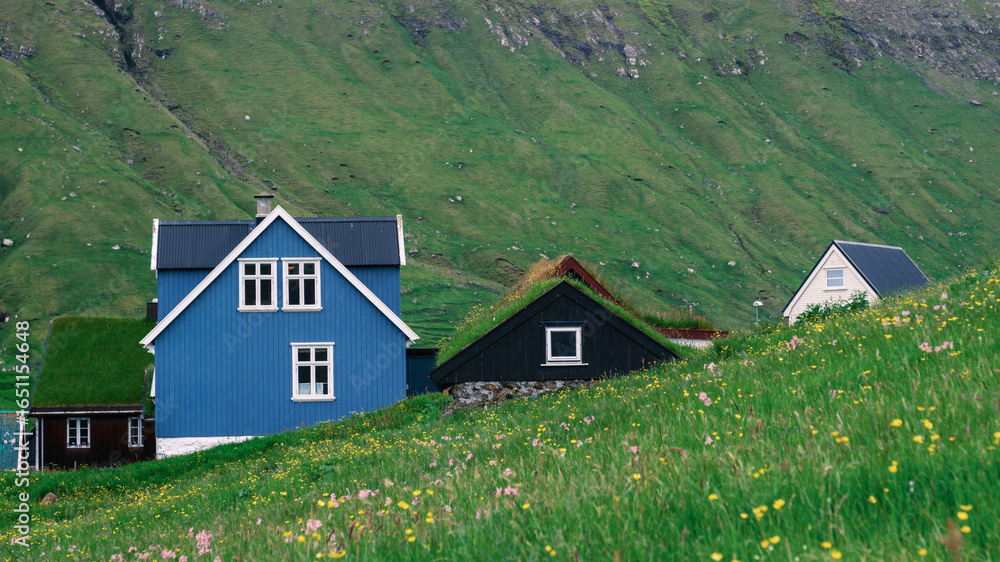 Obraz premium Vibrant blue and black houses stand out against lush green landscapes in the Faroe Islands, showcasing classic architecture amidst stunning nature. Elduvik Village