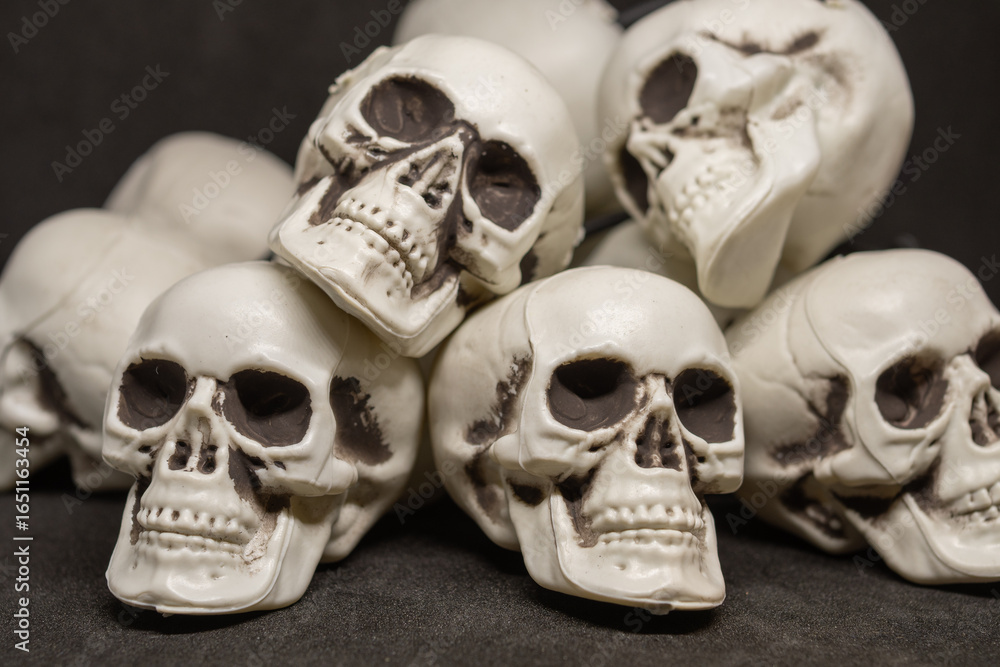 Obraz premium Teschi