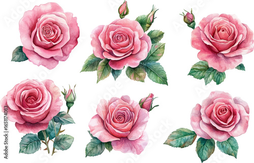seamless pattern with roses