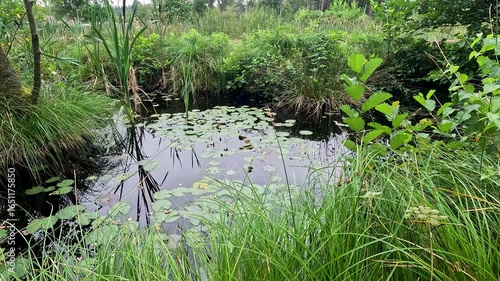 The Büsenbachtal in the Lüneburg Heath