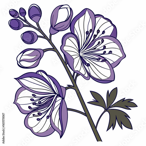 seamless pattern with aconitum variegatum