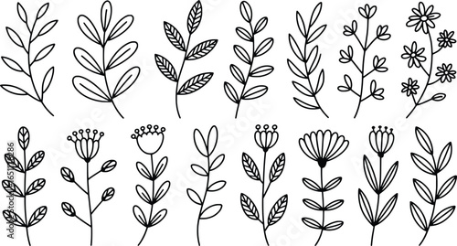 Collection of hand drawn botanical elements and floral illustrations