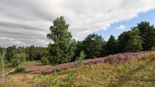 The Büsenbachtal in the Lüneburg Heath