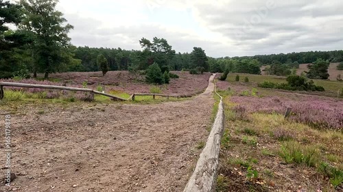 The Büsenbachtal in the Lüneburg Heath