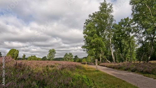 The Büsenbachtal in the Lüneburg Heath