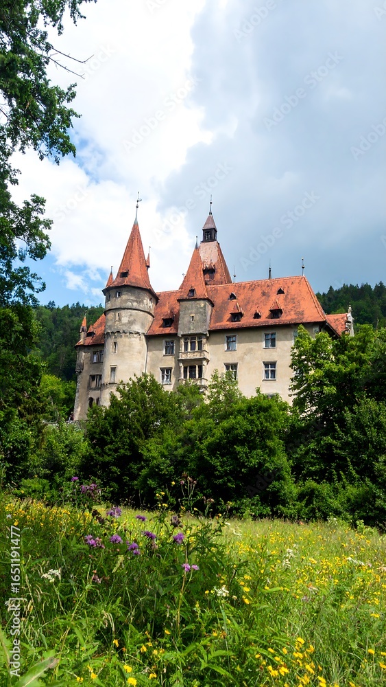 Fototapeta premium Historic castle in a lush valley