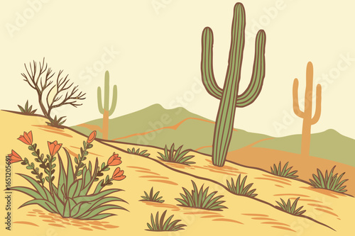 Desert blooms in Arizona’s Sonoran Desert after rare spring rains