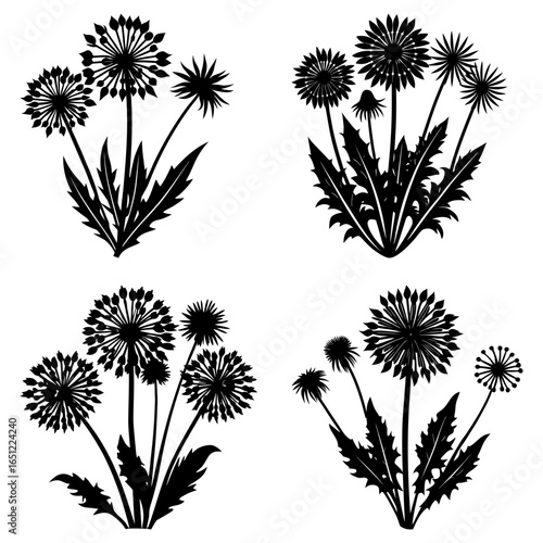 Silhouette illustration of four dandelion flower arrangements with detailed leaves and seed heads design
