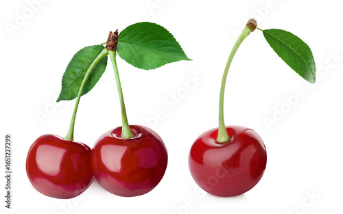 Red juicy cherries isolated on white. Summer fruit
