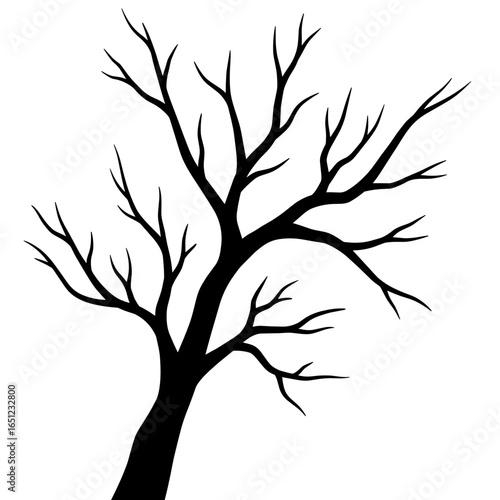 Black spooky tree branches silhouette for Halloween concept  