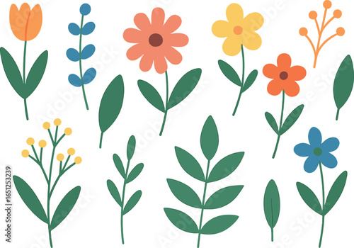 Minimalist botanical art set: simple floral designs for nature lovers and decor enthusiasts