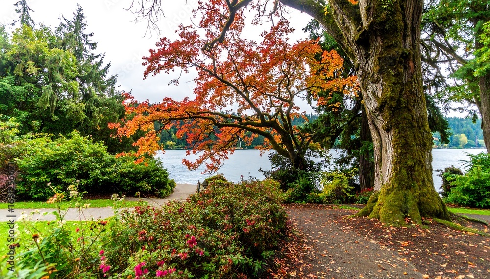 Naklejka premium Autumn park scenery by a lake
