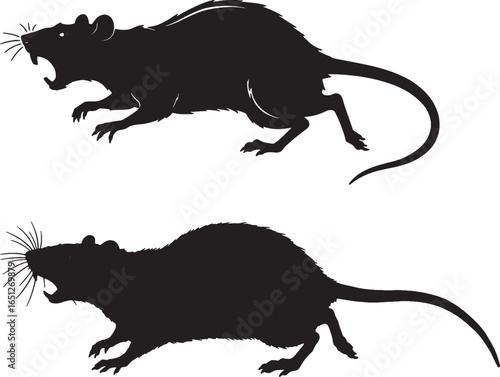 Black Silhouette Vector Illustration of Two Rats with Open Mouths and Visible Teeth and Whiskers