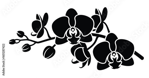 Elegant black silhouette of a blooming orchid branch