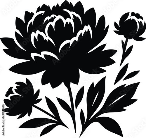 Elegant peony flower black and white vector illustration