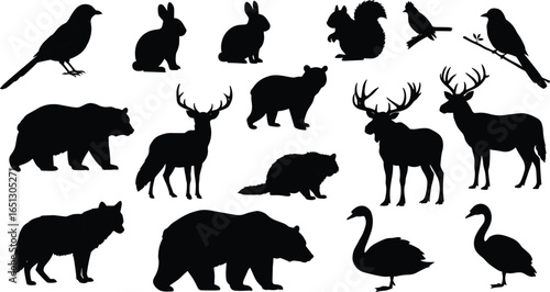 Forest animals silhouette and colored vector set, woodland creatures collection, wild mammals and birds, isolated wildlife illustration, nature fauna clipart